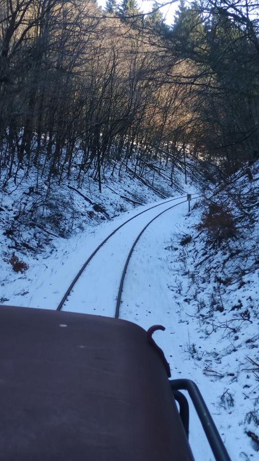 Überführungsfahrten 2022