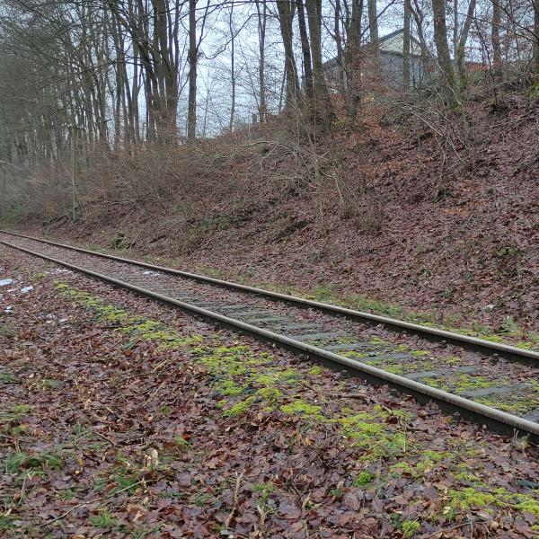 Überführungsfahrten 2022