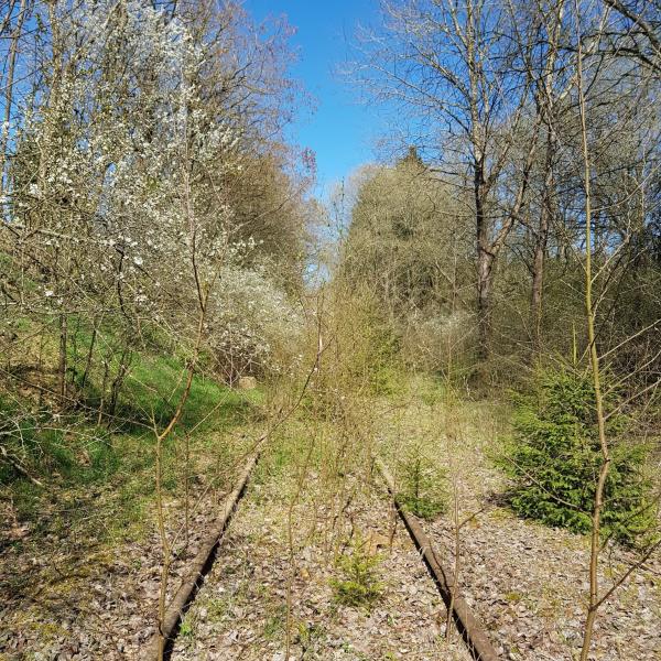 Berenbach - Utzerath