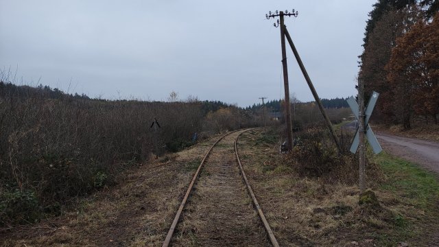 IMG_20211120_081726