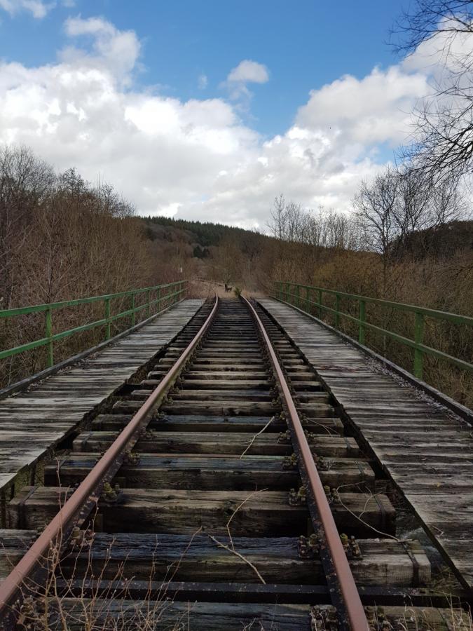 Daun - Rengen