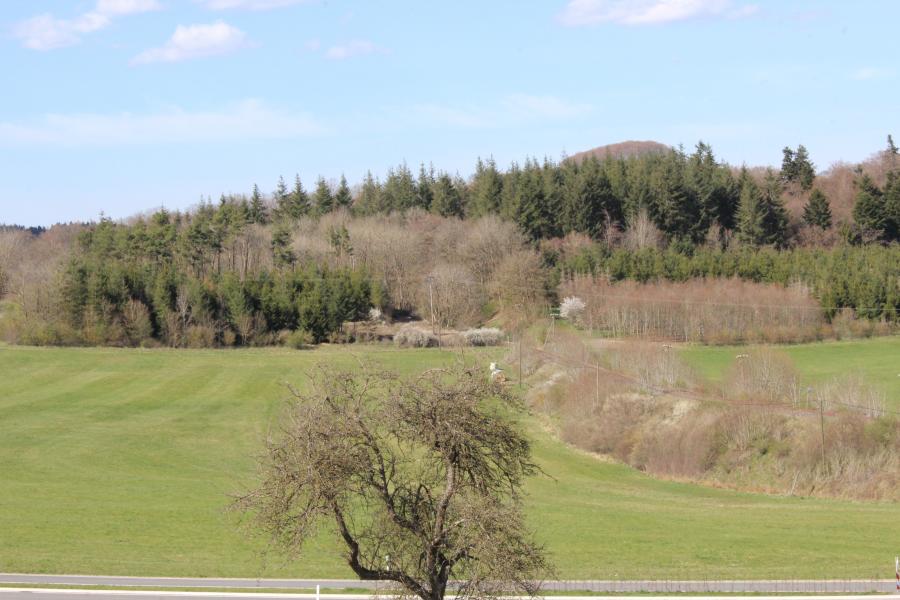 Dockweiler - Hohenfels