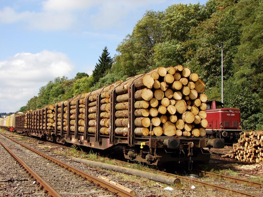 090915 Holzgüterzug