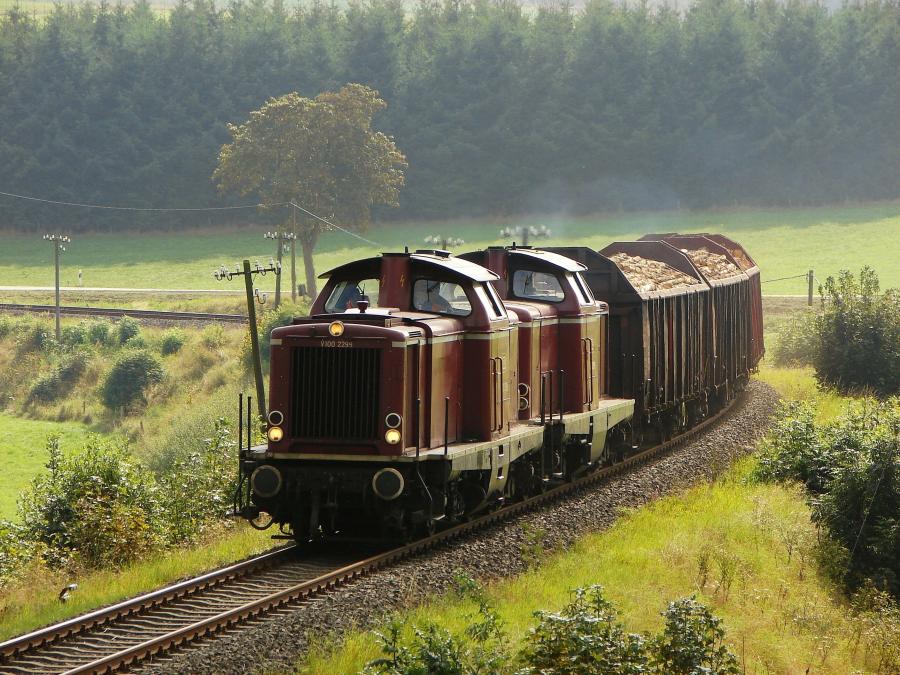 090918 Holzgüterzug