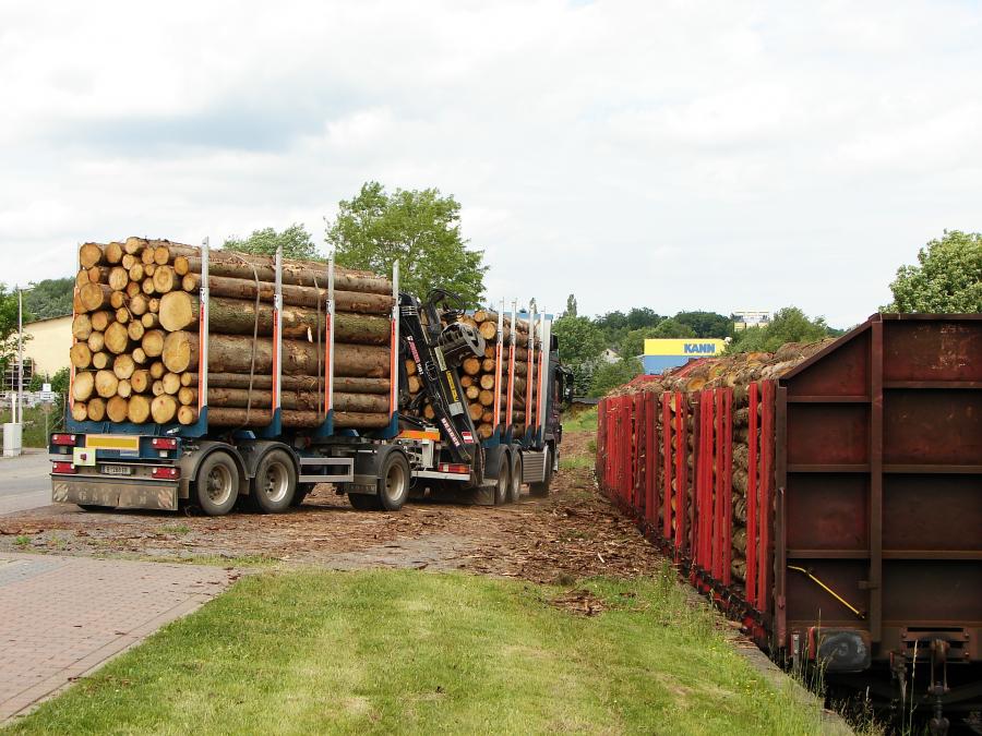 100606 Holzgueterzug