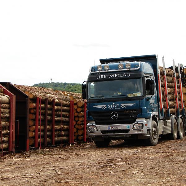 100606 Holzgueterzug