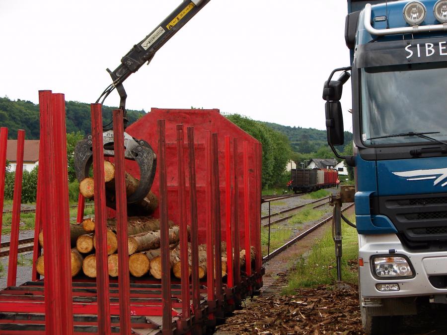 100606 Holzgueterzug