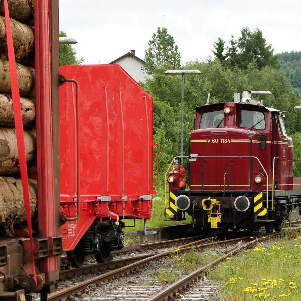 100606 Holzgueterzug