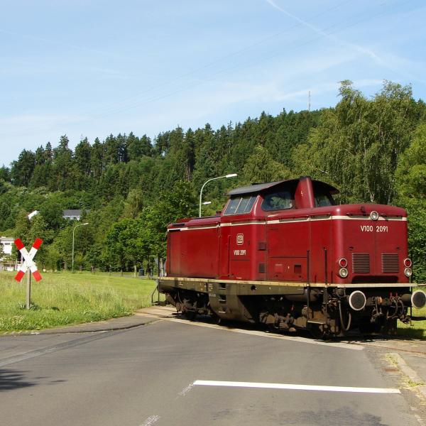 100616 Holzgüterzug