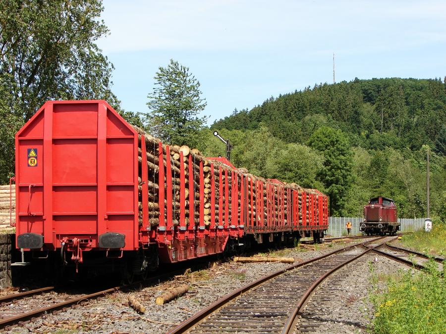 100616 Holzgüterzug