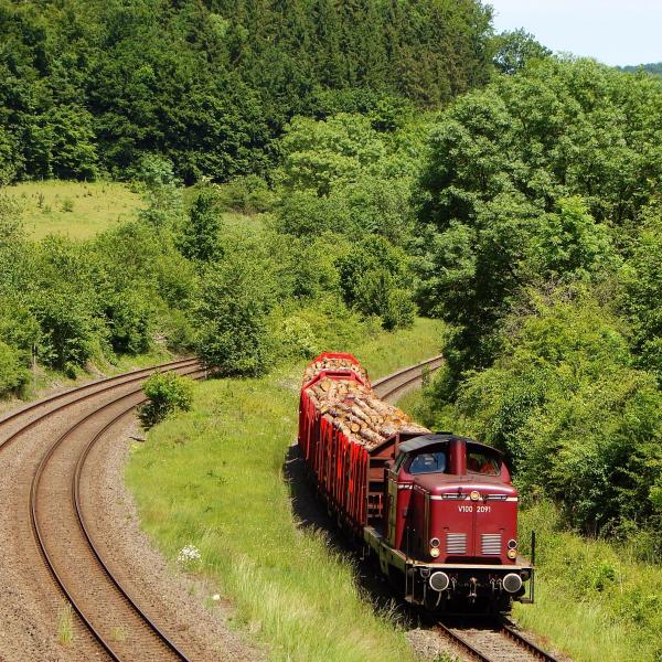 100616 Holzgüterzug