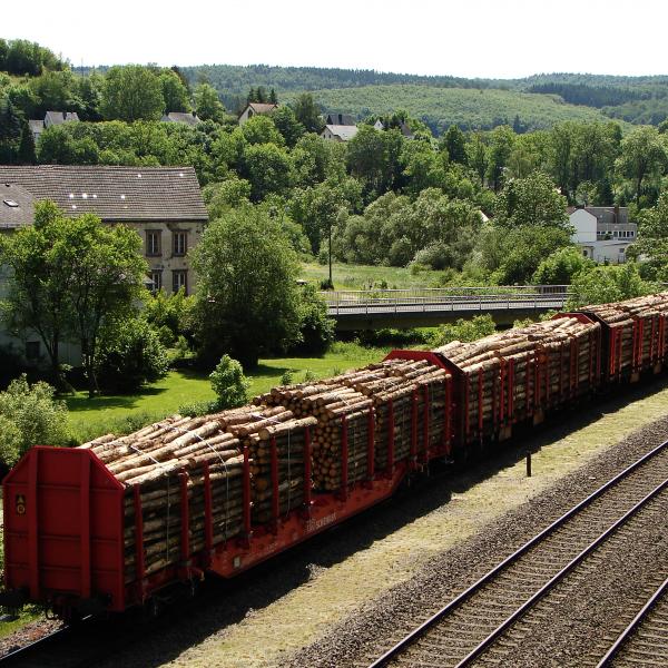 100616 Holzgüterzug