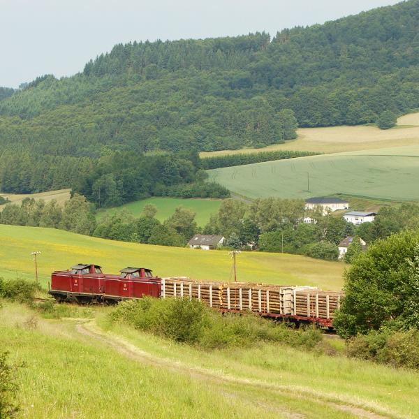 100625 Holzgüterzug