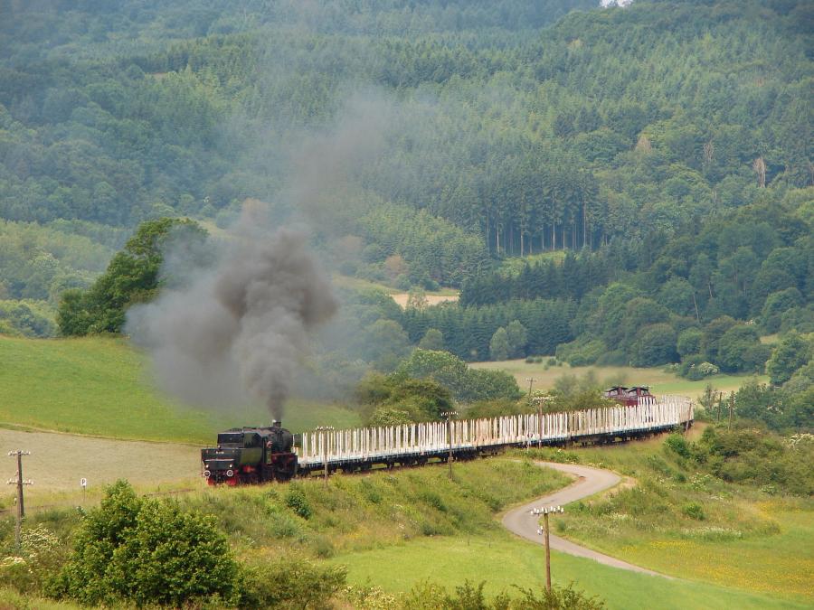 100625 Holzgüterzug