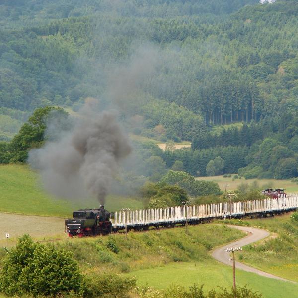 100625 Holzgüterzug