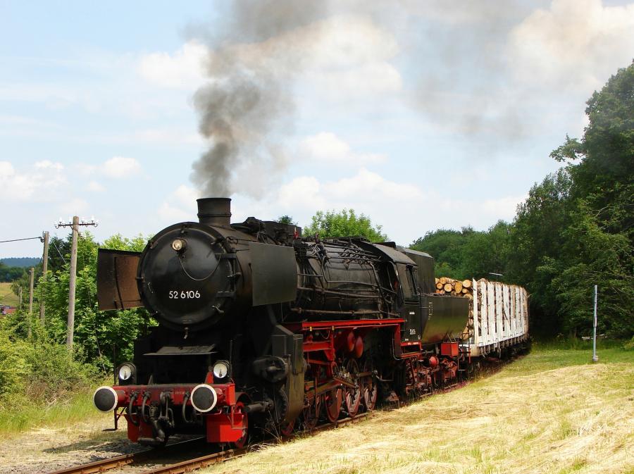 100625 Holzgüterzug