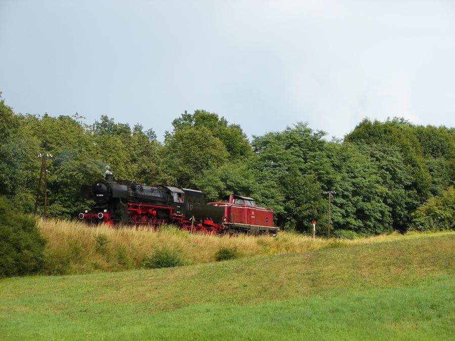 100728 Holzgüterzug