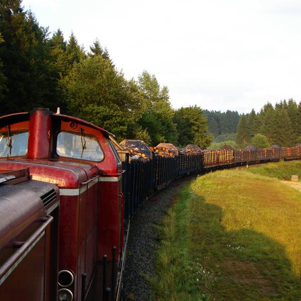 100728 Holzgüterzug