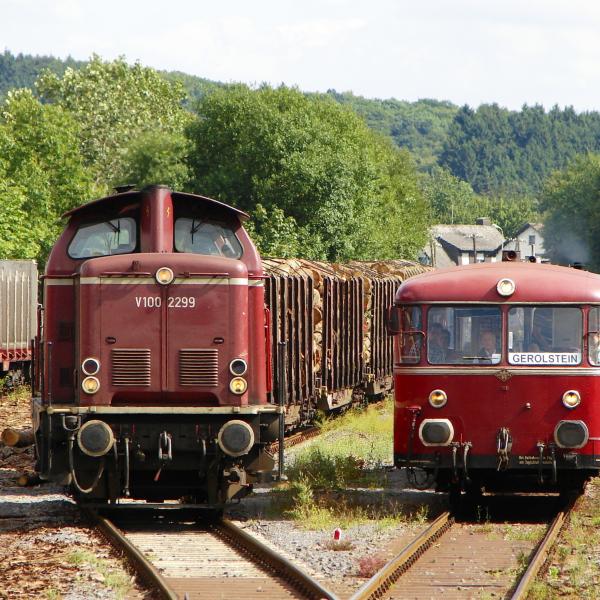 100809 Holzgüterzug