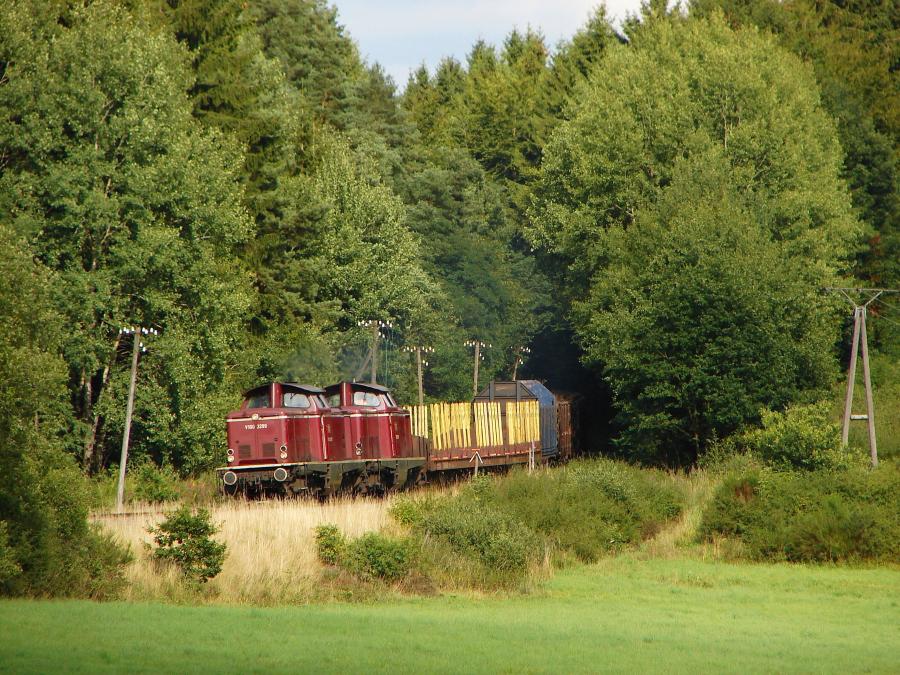 100809 Holzgüterzug