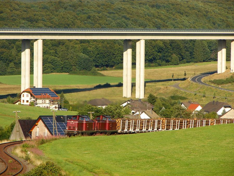 100820 Holzgüterzug