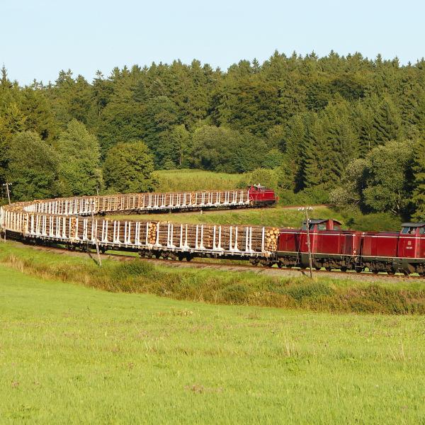 100820 Holzgüterzug