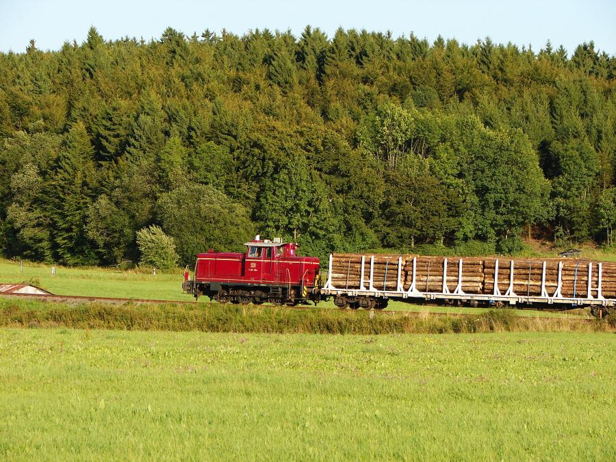 100820 Holzgüterzug