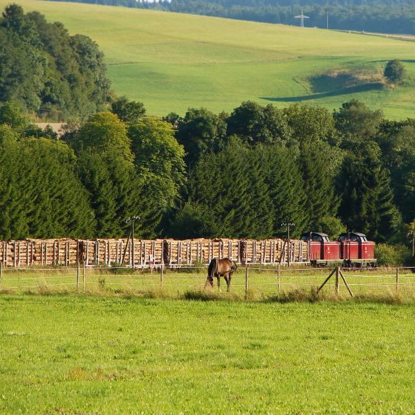 100820 Holzgüterzug