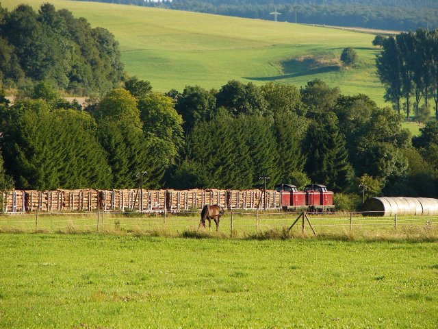 DSC03630a_Holzverkehr_Betteldorf_20.08.2010
