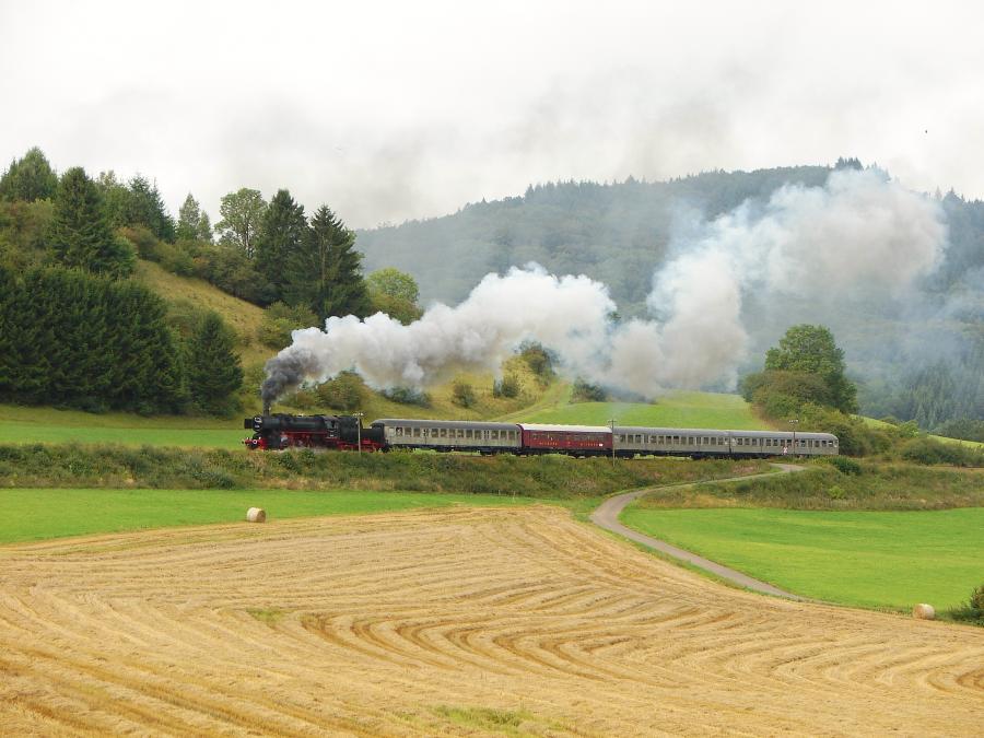100825 Sommerdampf