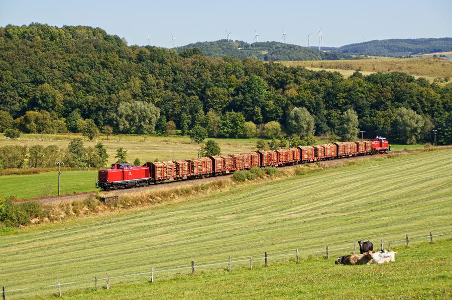 120907 Holzgüterzug