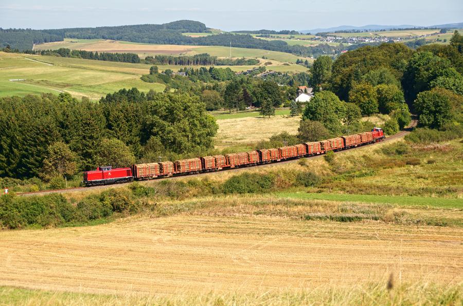 120907 Holzgüterzug