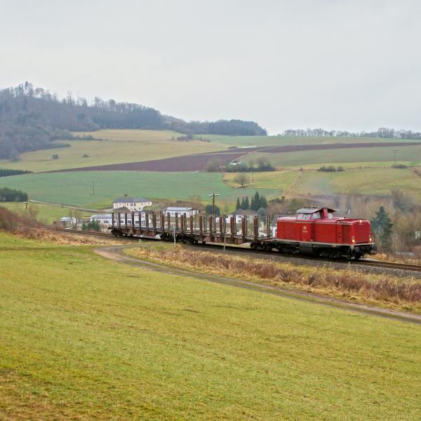 121218 Holzgüterzug