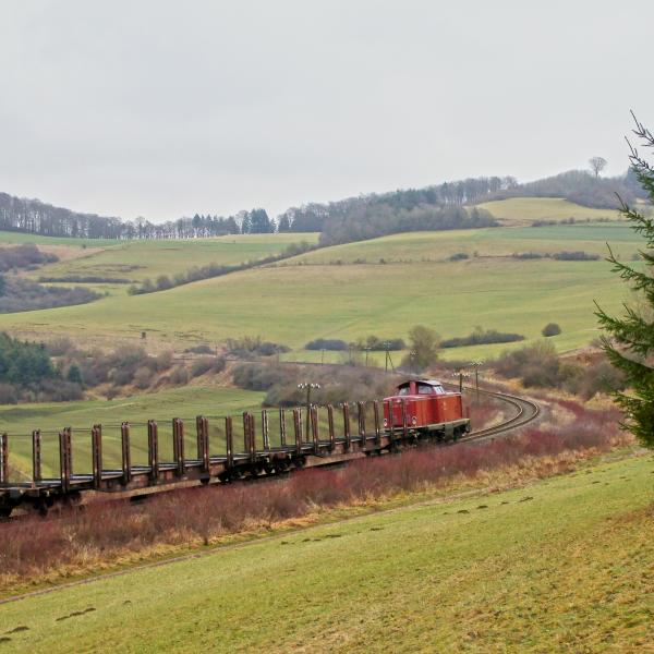 121218 Holzgüterzug