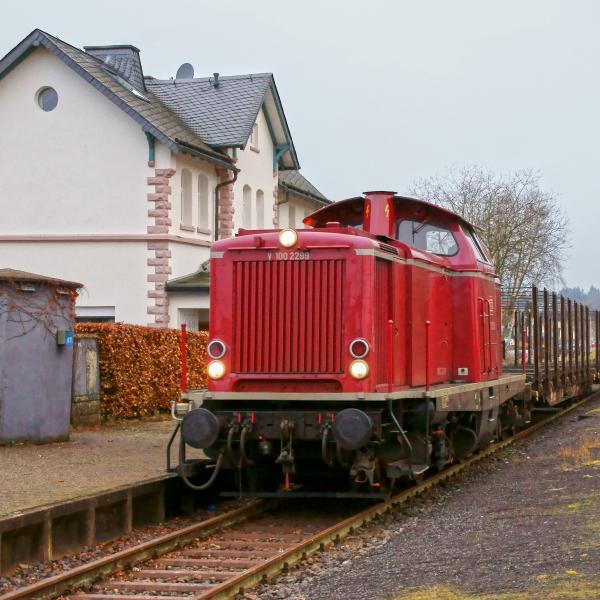 121218 Holzgüterzug