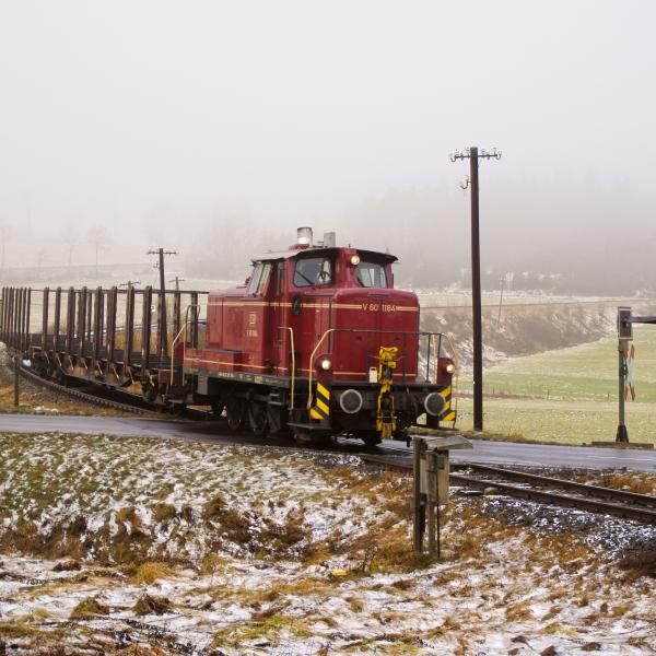 121221 Holzgüterzug