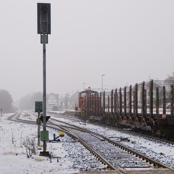 121221 Holzgüterzug