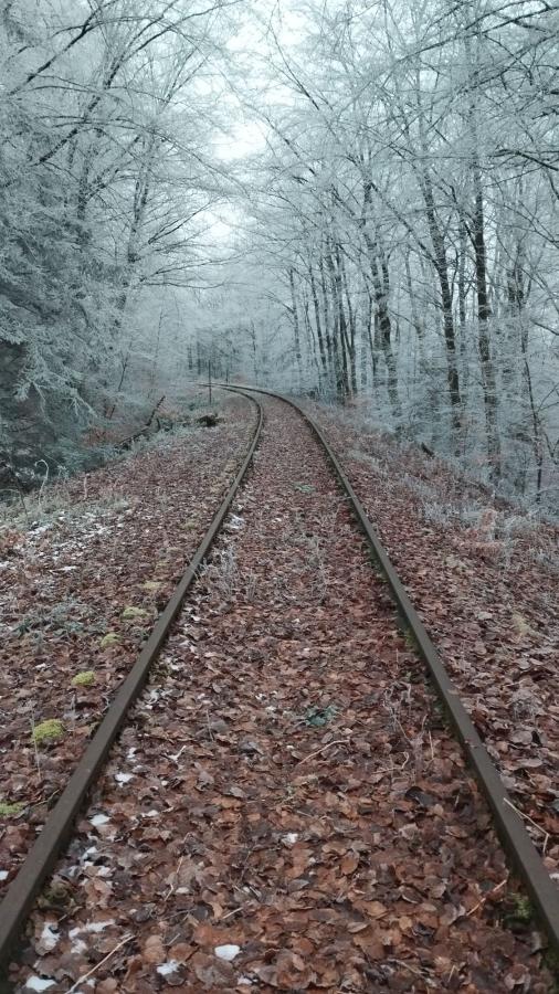 Eifelquerbahn 2025