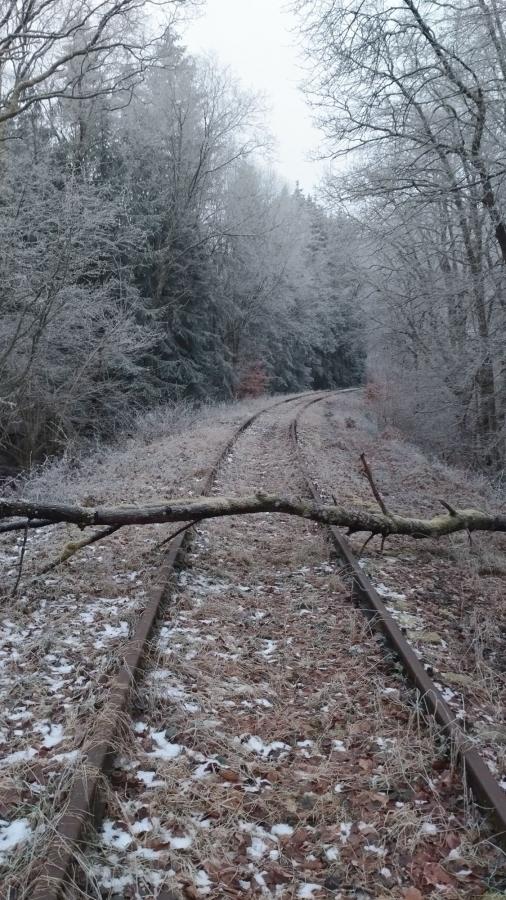Eifelquerbahn 2025
