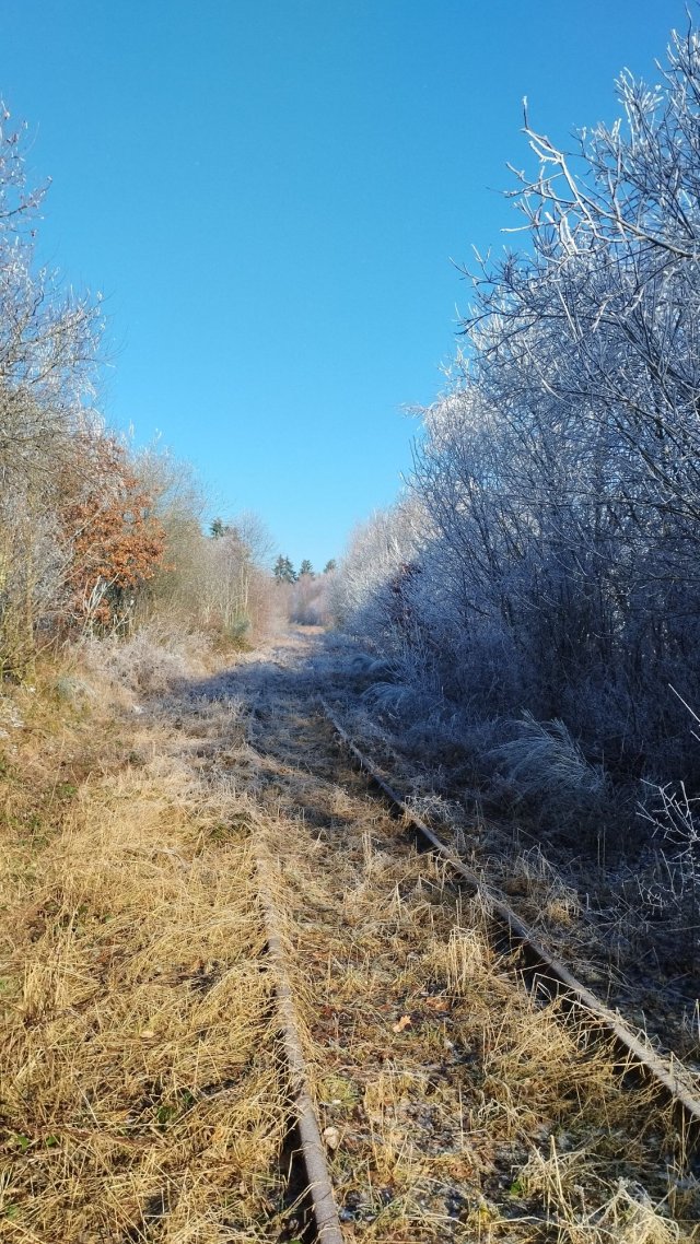 11_IMG_20250119_112303