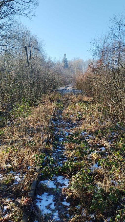 Eifelquerbahn 2025