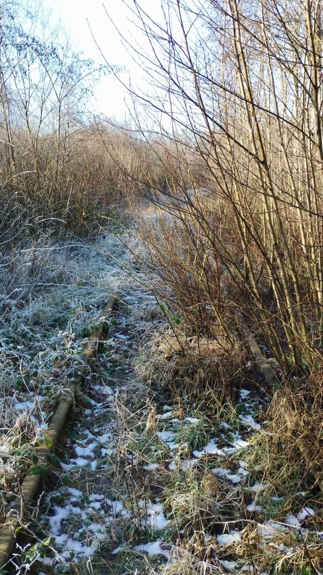 22_IMG_20250119_124054