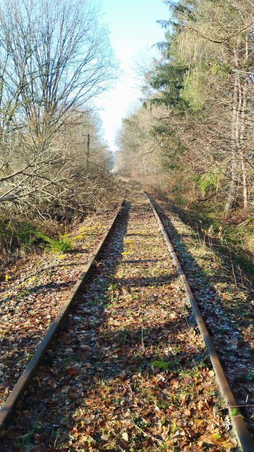 Eifelquerbahn 2025