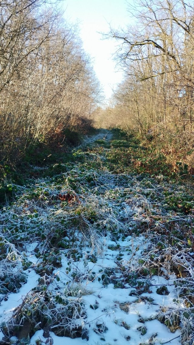 33_IMG_20250119_140651