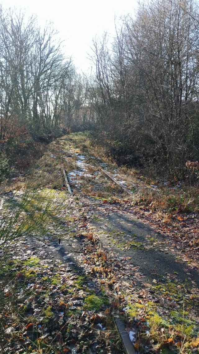 34_IMG_20250119_141343