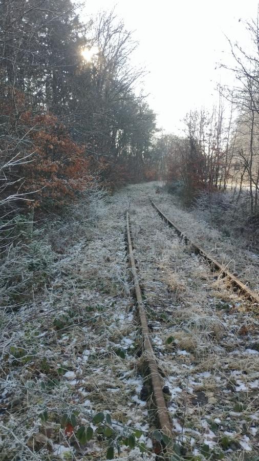 Eifelquerbahn 2025