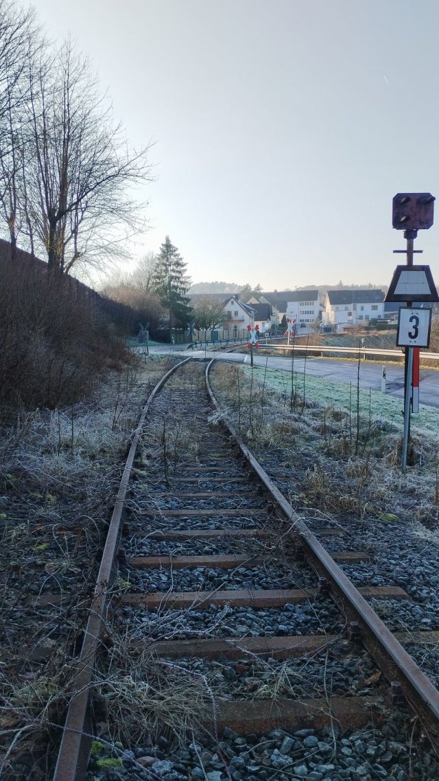 41_IMG_20250119_145508