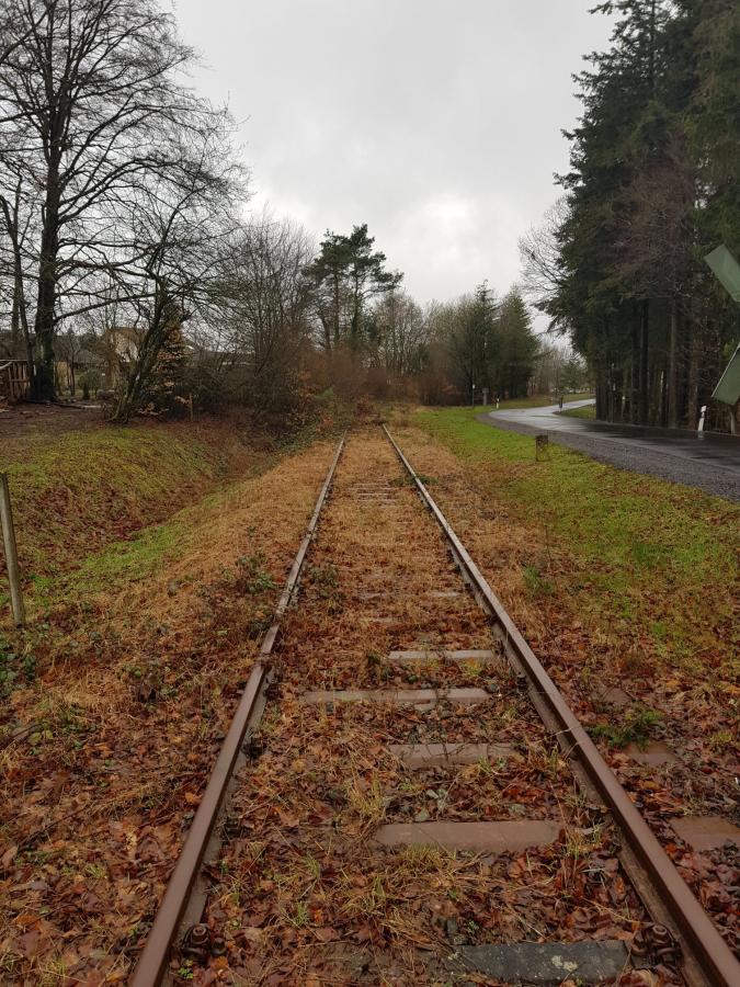 Höchstberg - Ulmen