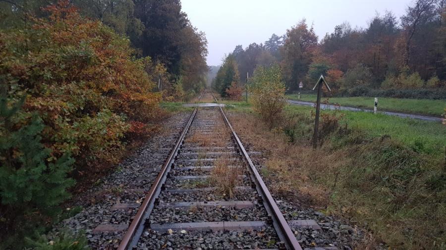 Höchstberg - Ulmen