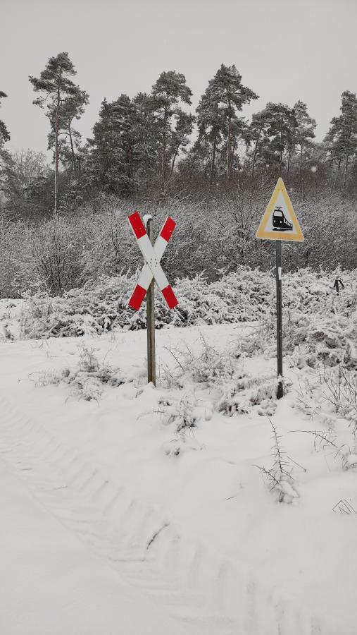 Höchstberg - Ulmen